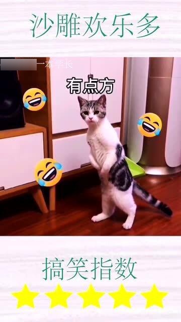最新且最美的回忆篇章