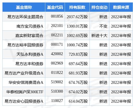 易方达最新净值深度解析及投资者关注焦点