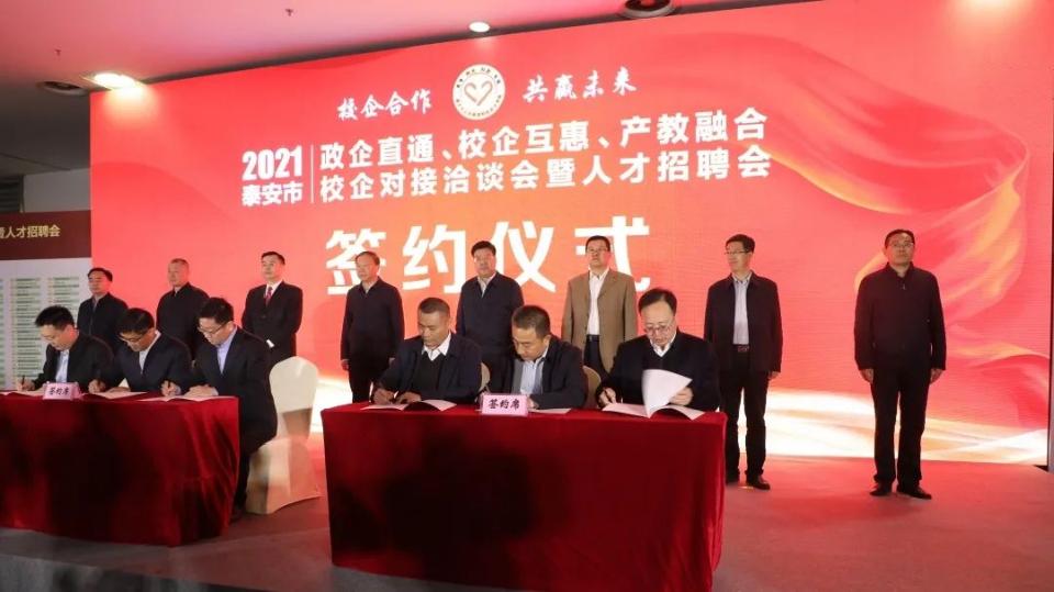 肥城最新招聘启幕，科技引领，全新体验招聘季