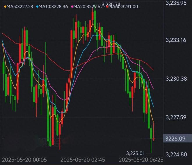 今日黄金最新价格走势，变化中的学习之旅与信心的力量展现信心与力量，黄金价格走势分析